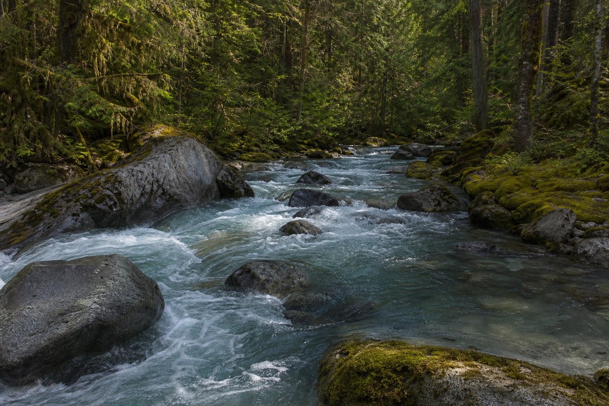 The mountains above Whistler, British Columbia