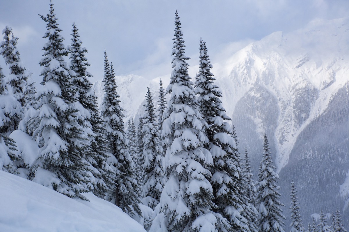 Whistler Village under winter snow