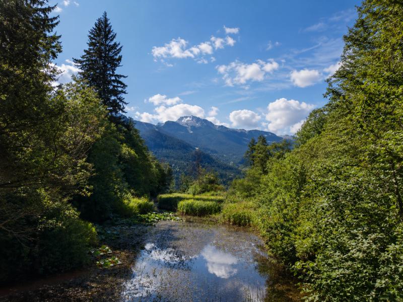 Whistler Full Sightseeing Tour – Year-Round Adventure